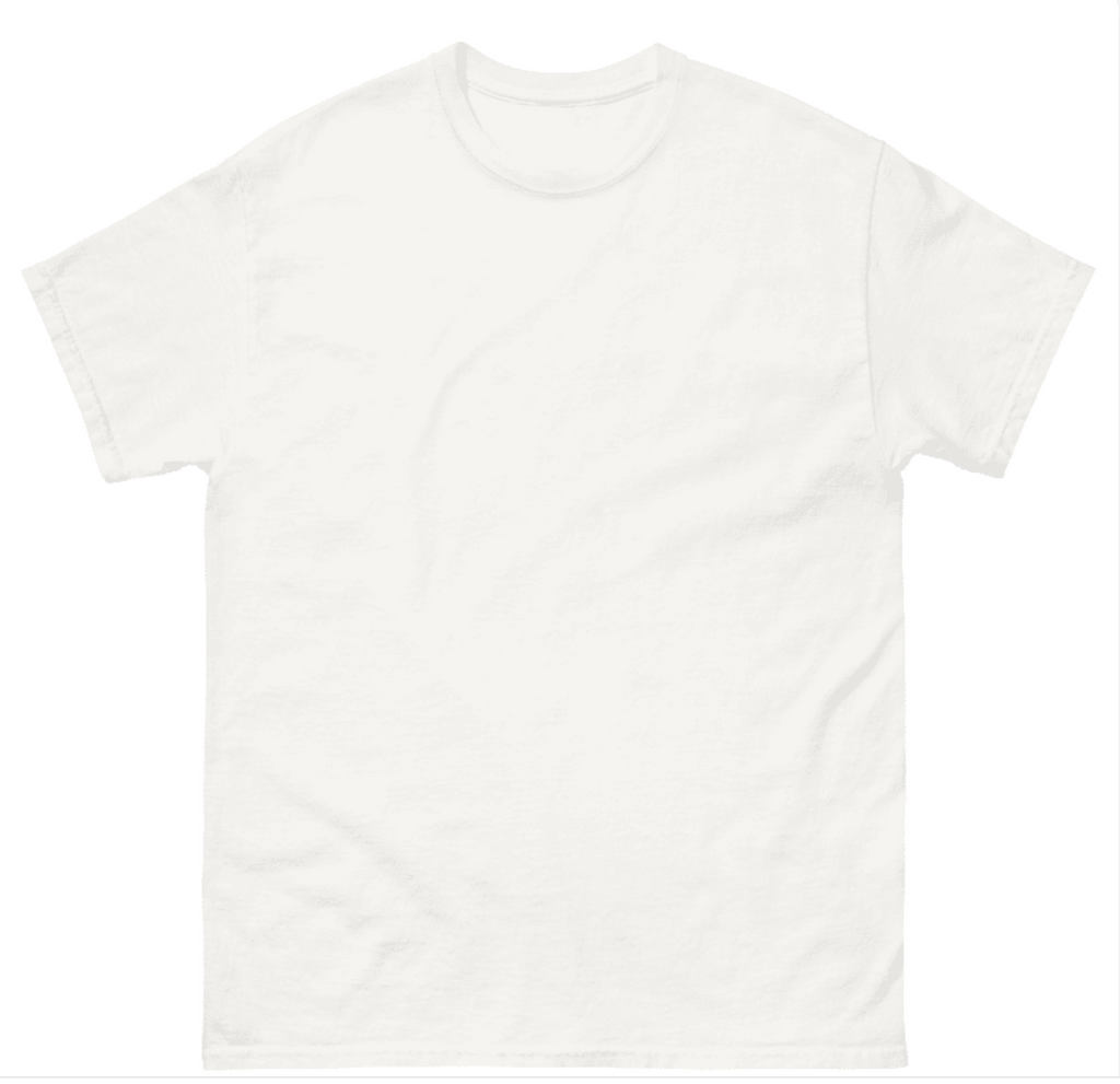 DesiQuest Vehaar Tour 2025 shirt