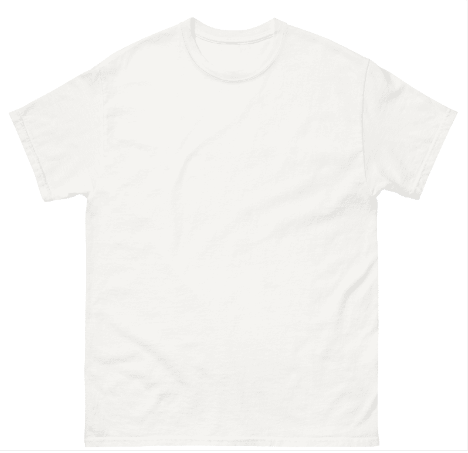 DesiQuest Vehaar Tour 2025 shirt